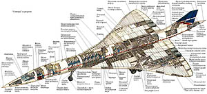 Конкорд в разрезе